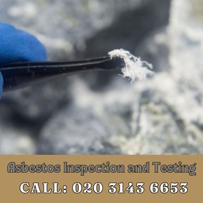 Comprehensive Asbestos Inspection and Testing Services in Staines-upon-Thames